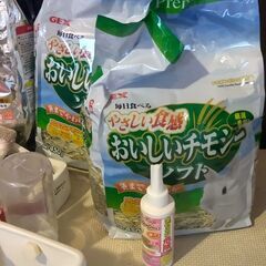 うさぎ用品　まとめての画像