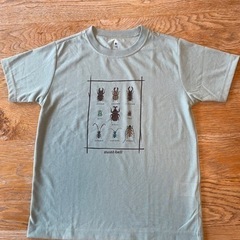 モンベル　140　Tシャツ　mont-bell 　の画像