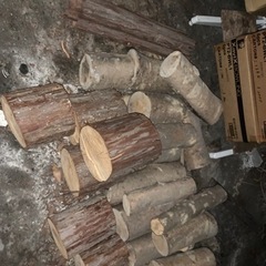 丸太を無料でもらって下さいの画像