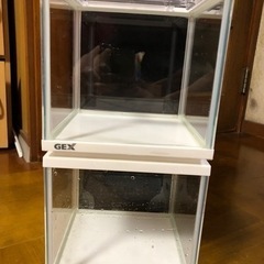 水槽 5個