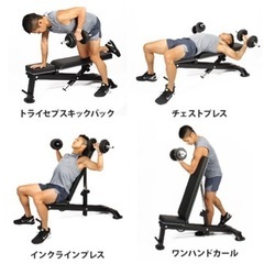 【取引決定】【美品】【値下げ】トレーニングベンチ・ダンベル(可変式ダンベル×2、インクラインベンチ台、トレーニングマット)の画像