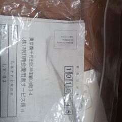 ラリビー　lv03 ピックアップは付きません　純正ハードケース付属の画像