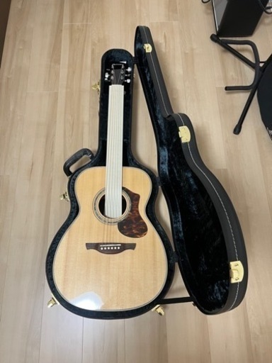 楽器 弦楽器、ギター