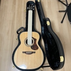 楽器 弦楽器、ギター