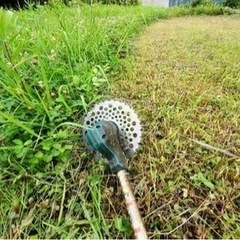草刈り手伝って下さい‼️