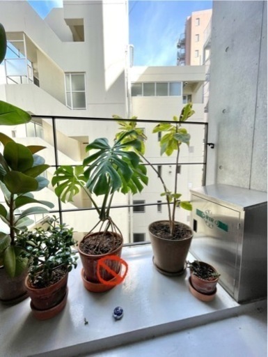 生活雑貨 家庭用品 ガーデニング