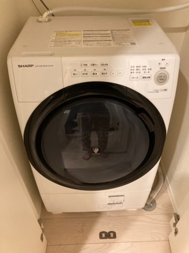 家電 生活家電 洗濯機