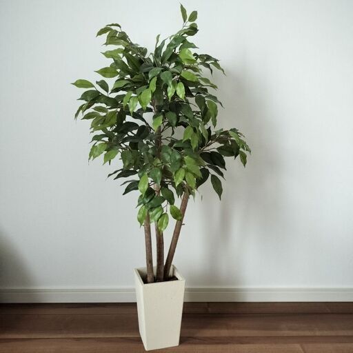 フェイクグリーン 大型 観葉植物　ベンジャミン