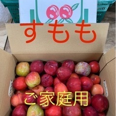 【受付終了・在庫切れ】☆★☆ 和歌山県産すもも（プラム）訳あり2...