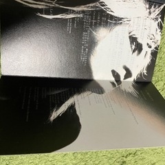 SUGIZO/ルシファーの画像
