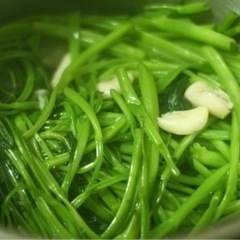 生活雑貨 家庭用品 ガーデニング