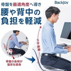 値下げ↓中古◆骨盤矯正パックジョイ◆リリーフミニ◆ブラックの画像