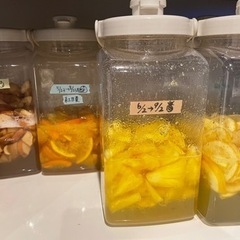 腸活！発酵ドリンク教室〜ファスティングにも〜の画像