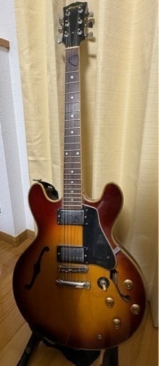 楽器 弦楽器、ギター