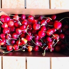 紅秀峰　規格外　17時以降対応