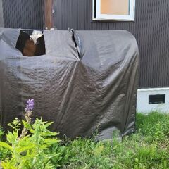 サイクルハウス