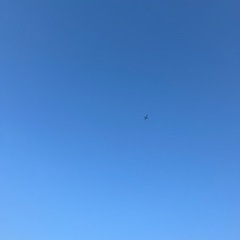久留米でチーム作りませんか！