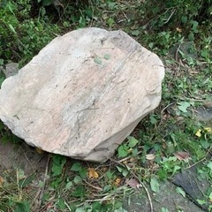 庭石   三波石　と　さつき