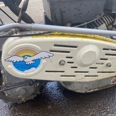 ウインクモアの画像