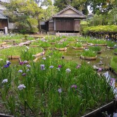 草刈り、庭木の剪定や伐採、防草シートや人工芝などの防草対策をいたします