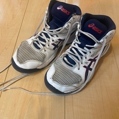 asics バッシュ 23.0cm