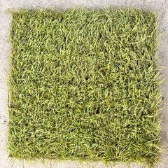 生活雑貨 家庭用品 ガーデニング