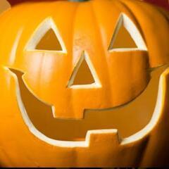 種のみ。ハロウィン🎃飾り用🎃巨大ペポかぼちゃの種。商品説明読んで...