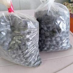 小豆の画像