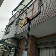 スポーツ