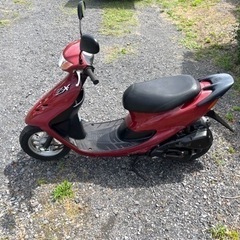 831.　動画あり　ホンダ　ライブディオZX仕様　原付　50cc   車体　バイク　埼玉の画像