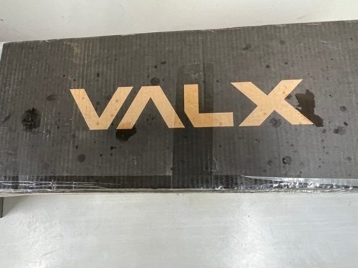 VALX   SP I N B IＫＥ