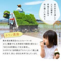米ぬか　こめぬか