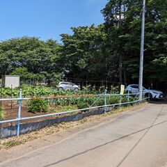 【売地】境町上小橋　住宅用地　境古河ICより1.4km - 猿島郡