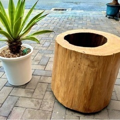 プランター　ヒノキ　檜　丸太　植木鉢の画像