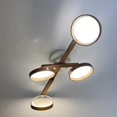 スワン電器 ASP-802 クルックスシーリングライト 815645.jpg