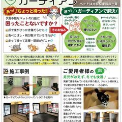 ペットを飼っているご家庭におすすめ！ペット向け畳・襖・網戸