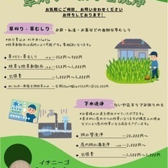 草刈り‪🌱‬格安綺麗✨6000円〜 - 横須賀市