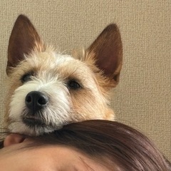 犬友募集中🐶