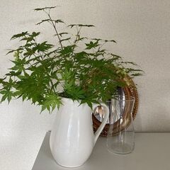 花瓶・水差し＋アンティークミラー