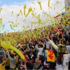 野球観戦好きな人募集❗️