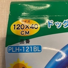 子ども用プールの画像