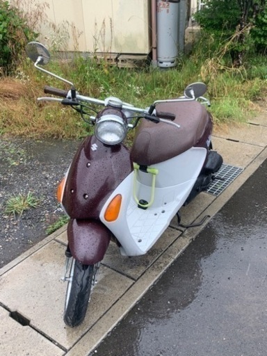 複数お問い合わせ中‼️バッテリー新品❣️即乗り スズキレッツ4パレット軽整備済❣️