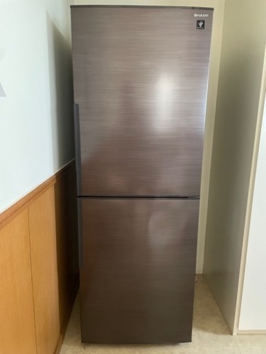 家電 キッチン家電 冷蔵庫