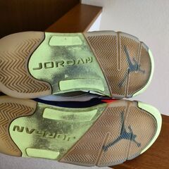 エアジョーダン5  オルタネートベルエア サイズ29の画像