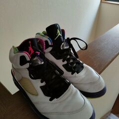 エアジョーダン5  オルタネートベルエア サイズ29の画像