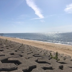 釣り友達募集