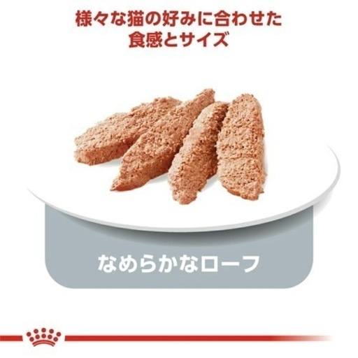 ロイヤルカナン 成猫用 パウチ40個