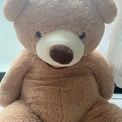 おっきいクマさん/ぬいぐるみの画像