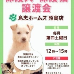 🍀😸6月22日(土)🐕🍀島忠ホームズ昭島店様にて毎月第4土曜日『保護猫カフェ ねこかつ』様主催‼️保護猫🐾保護犬🐾譲渡会を開催致します‼️😸🐕✨当団体『立川地域猫の会』も参加させて頂いております‼️🐈✨(※予約不用・入場無料)皆様のお越しを心よりお待ちいたしております❣️🙇‍♀🍀🐈‍⬛🐾 - 猫