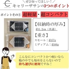 【今週3,300円】【数回試用】ソーラー式エコライト ウォームライト スモール キャリーザサン （S size）の画像